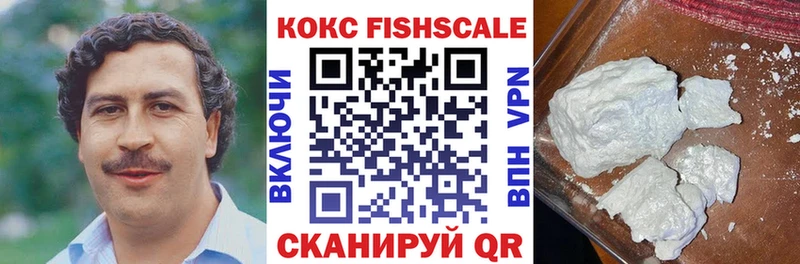 где можно купить   Пудож  COCAIN Fish Scale 