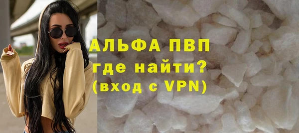 ПСИЛОЦИБИНОВЫЕ ГРИБЫ Осинники