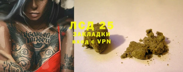 PSILOCYBIN Остров