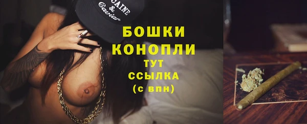 PSILOCYBIN Остров