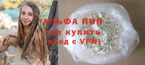 ПСИЛОЦИБИНОВЫЕ ГРИБЫ Осинники