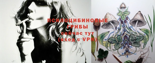 PSILOCYBIN Остров