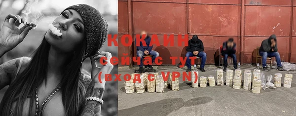 ПСИЛОЦИБИНОВЫЕ ГРИБЫ Осинники