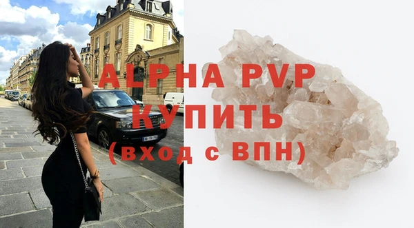 ПСИЛОЦИБИНОВЫЕ ГРИБЫ Осинники