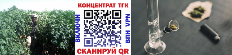 где найти наркотики  Пудож  Дистиллят ТГК гашишное масло 