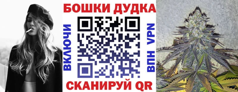 Бошки Шишки конопля  закладка  Пудож 